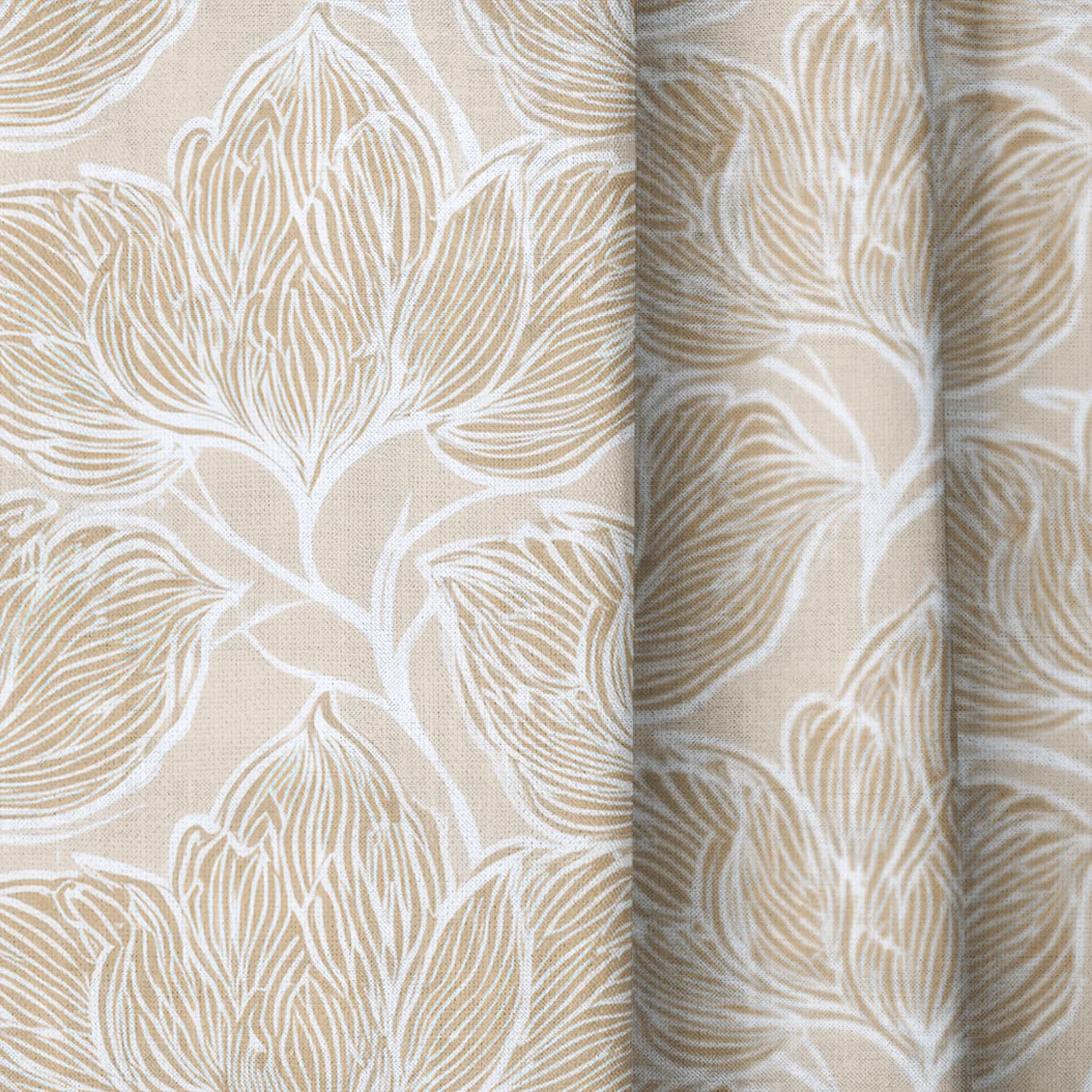 Biscotti - Drapery - Image 3